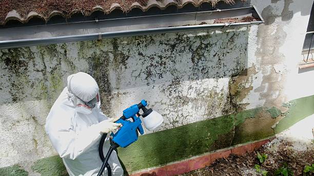 Trusted Commercial Mold Remediation service in Sparta, GA - Cheap Mold Removal